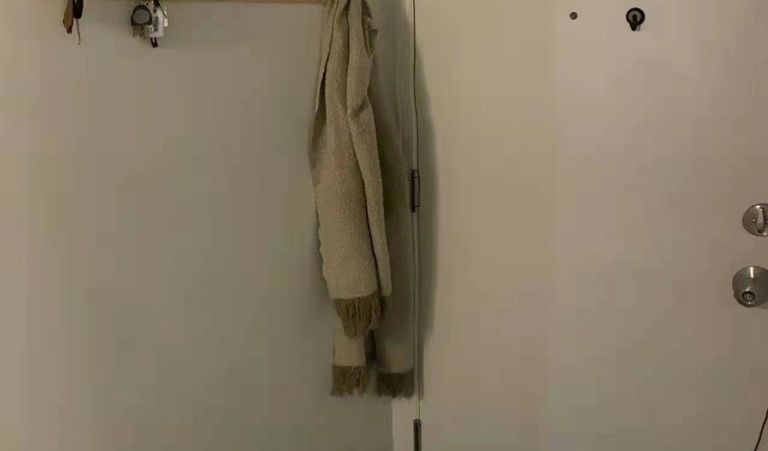 市中心麦吉尔大学附近451尺公寓