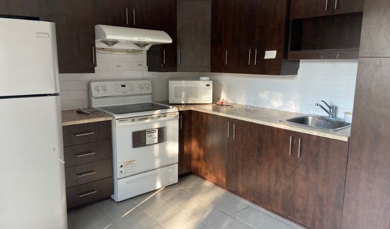 自2026年1月1日起整租近RTC学区绿线地铁pie-ix优质三个半