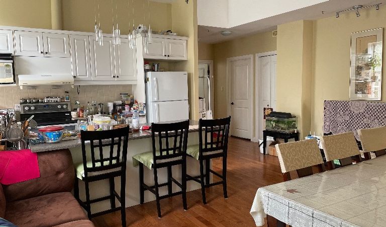 唐人街 高级公寓拎包入住