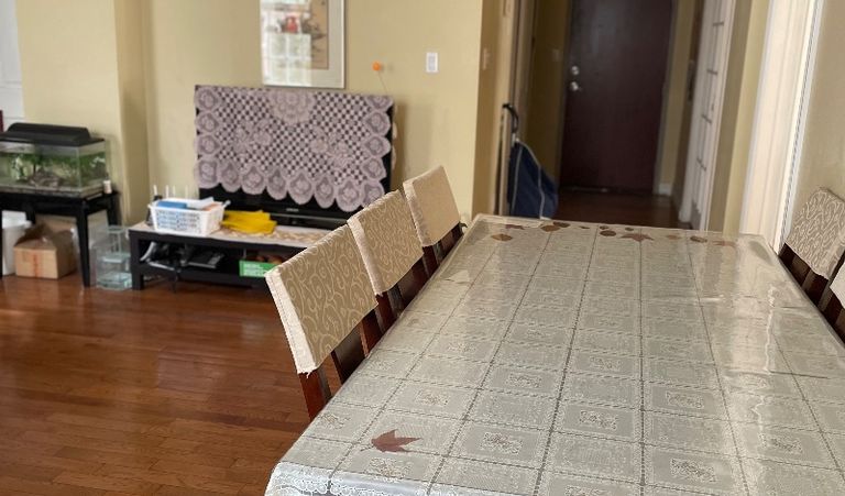 唐人街 高级公寓拎包入住