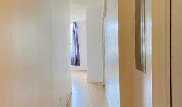 近康大地铁站4半2卧高级公寓随时入住$1600/月全包514-935-9067