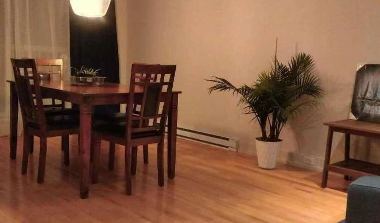 蒙特利尔大学步行可到，新装修，地铁cote saint Catherine旁，分租一个卧室